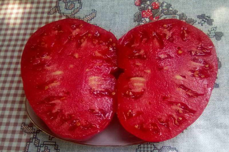 frutos grandes y carnosos