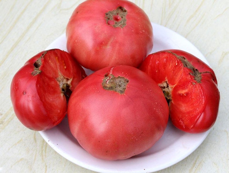 les fruits ont tendance à se fissurer