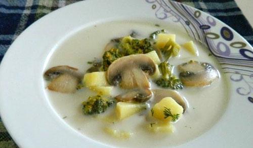 sopa de queso con champiñones y brócoli