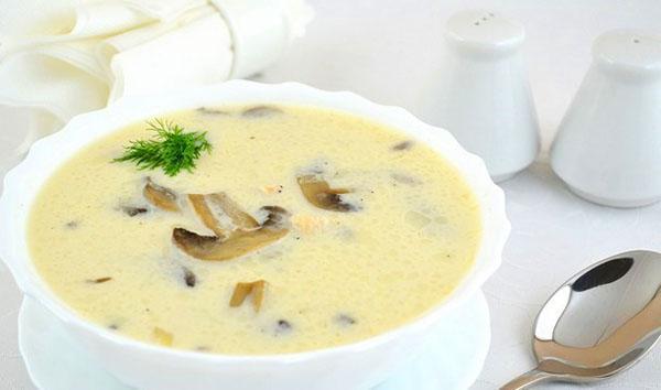 soupe aux champignons, poulet et fromage