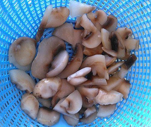 laver et hacher les champignons