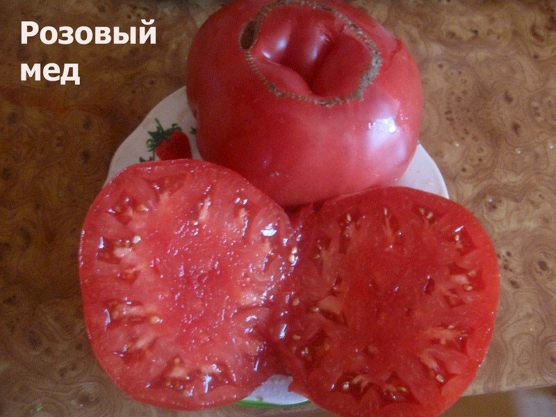 deliciosos tomates dulces