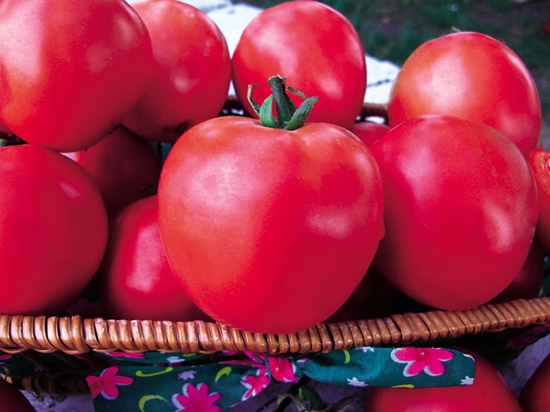 tomates frambuesa dulzura