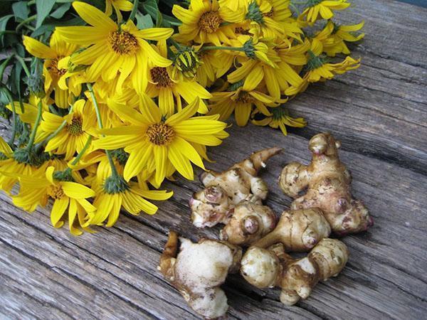 Flores de alcachofa de Jerusalén y patatas