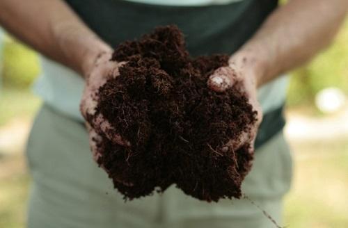 turba como fertilizante para hortalizas