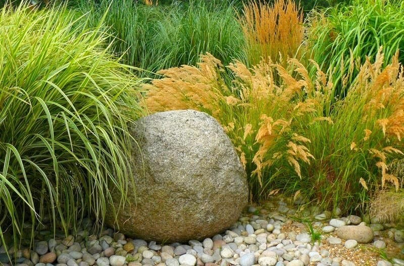 jardincito rocoso
