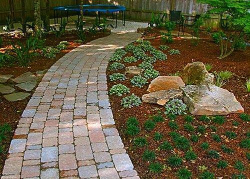 pista de mosaico