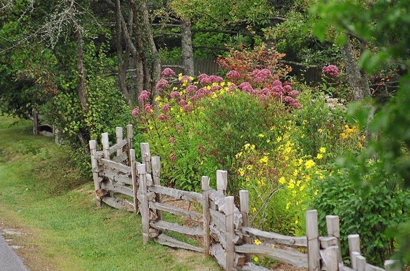 décor de parterre de fleurs de style campagnard