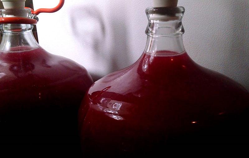 fermentación tranquila de vino casero