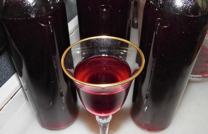 vino de uva casero en casa