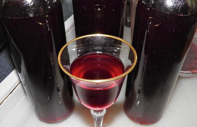 vino de uva casero en casa