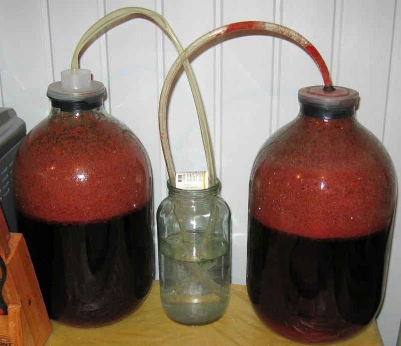 proceso de fermentación del vino casero