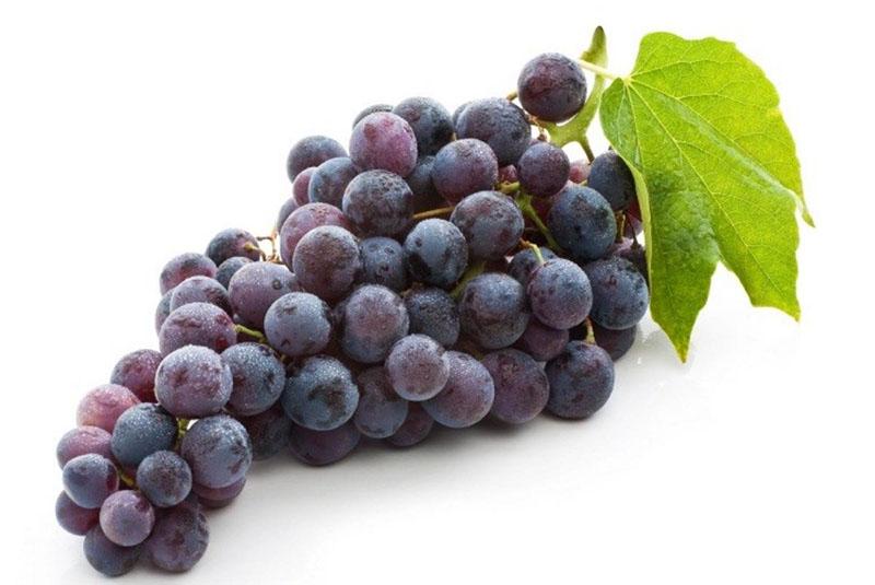 racimo de uvas maduras