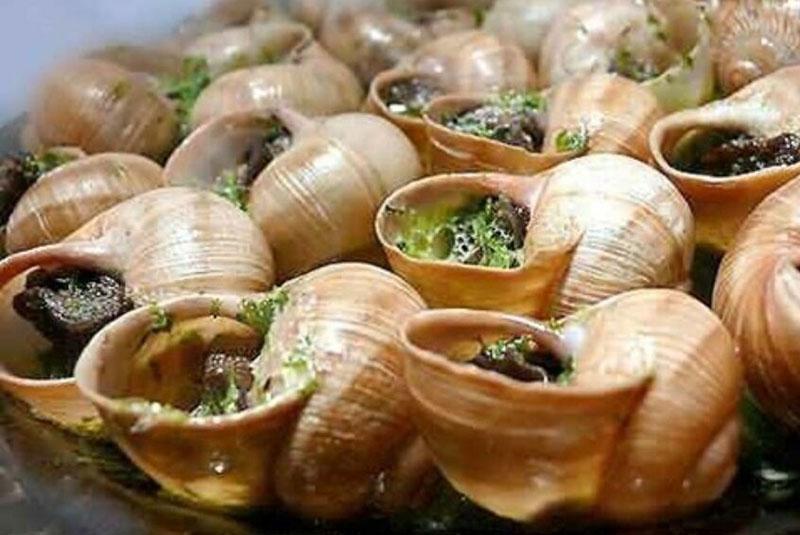 plat d'escargots bourgogne