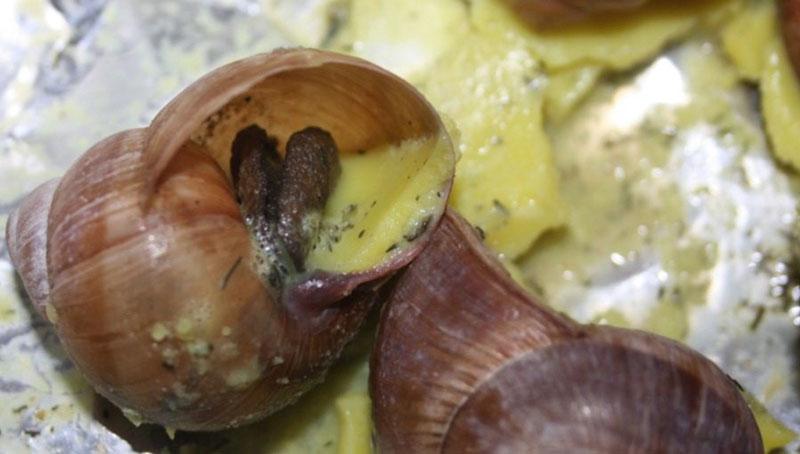 verser l'huile d'ail sur les escargots