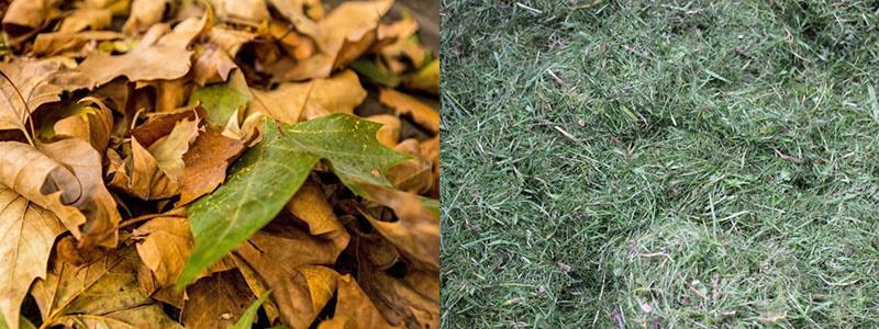 ingredientes del compost