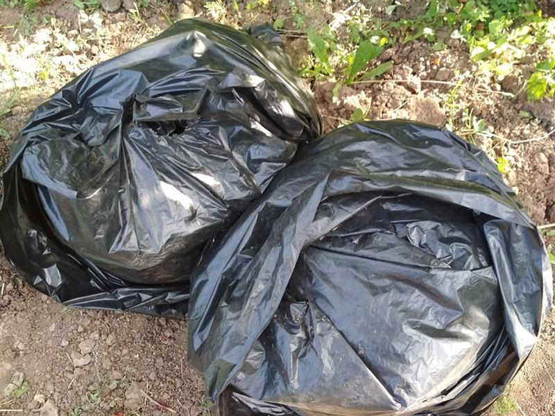 maduración del compost