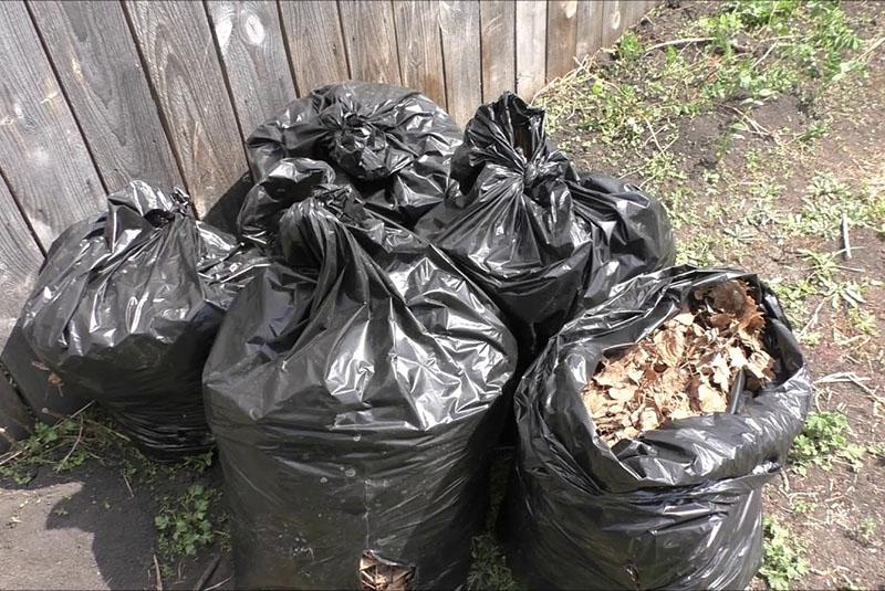 bolsas de abono