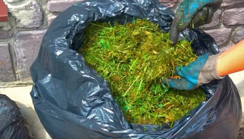 colocando abono en bolsas resistentes