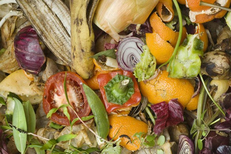 desperdicio de frutas y verduras