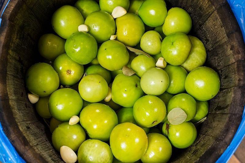 tomates vertes marinées à froid selon la recette de grand-mère