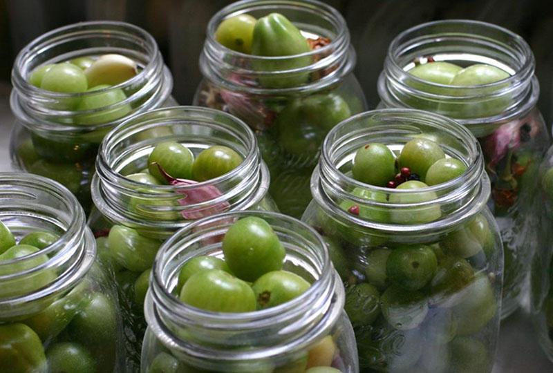 llenar los frascos con tomates