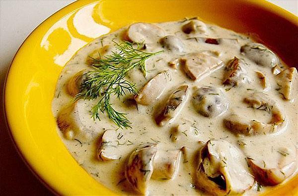 sauce aux champignons séchés