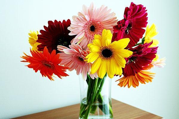 un bouquet de gerberas sur la table