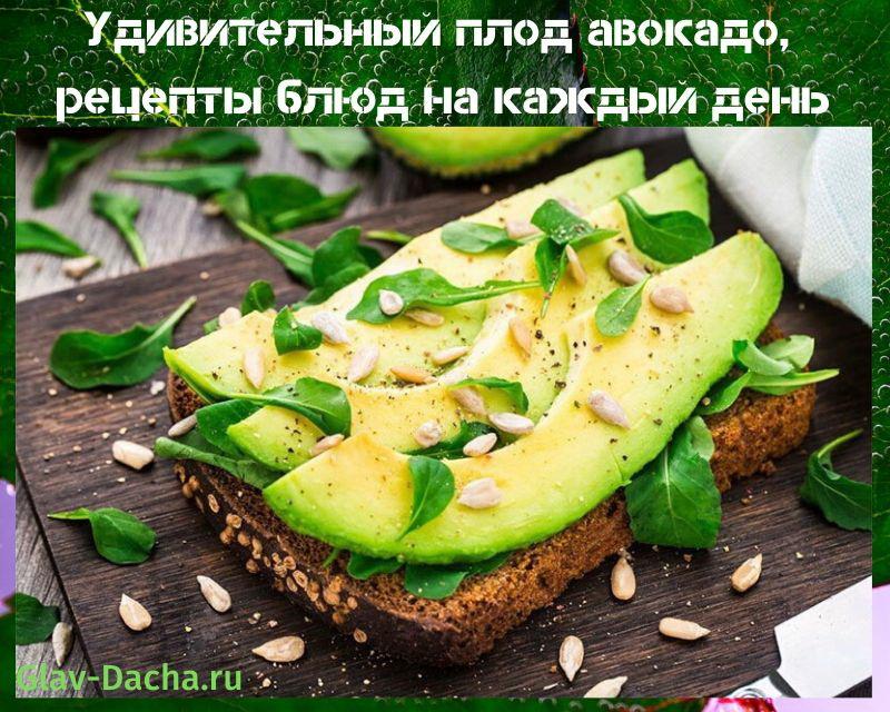 recettes d'avocat