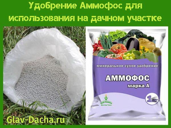 Ammophos fertilizante para casas de verano