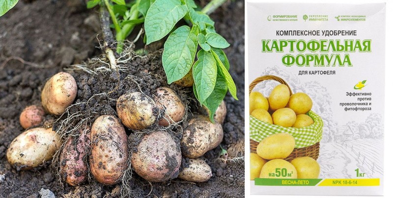 formule engrais pomme de terre