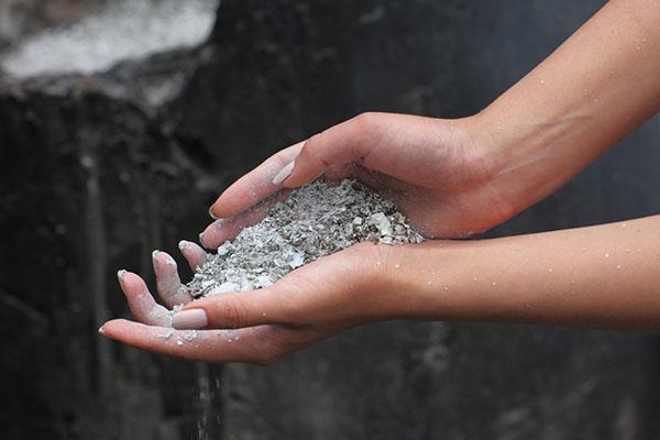 ceniza como fertilizante para flores