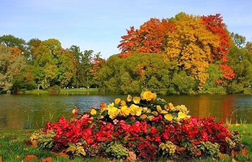 cama de flores en octubre