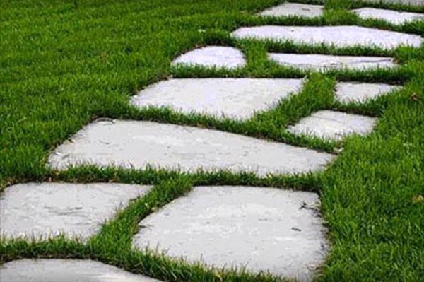 pista de pasos