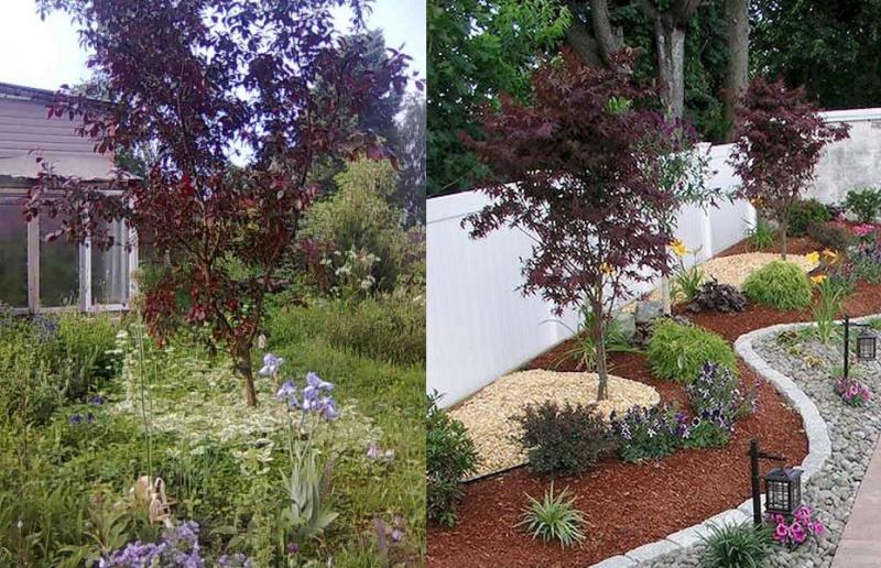 pommiers dans le jardin