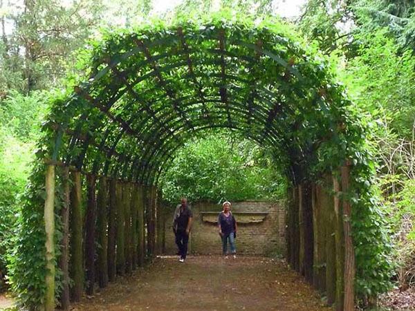 tunnel en arc