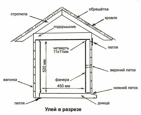 Représentation schématique de la ruche