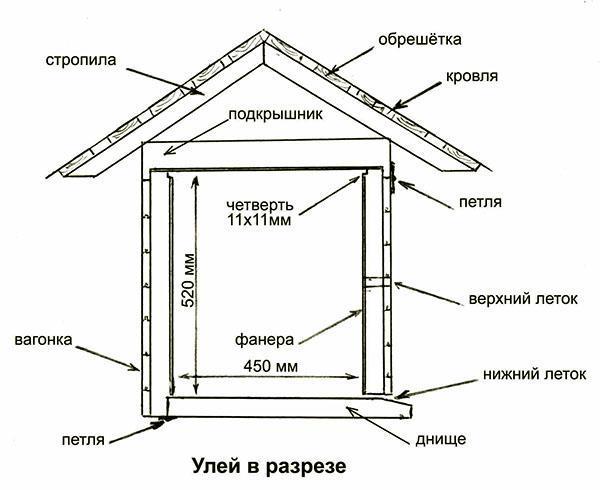 Représentation schématique de la ruche