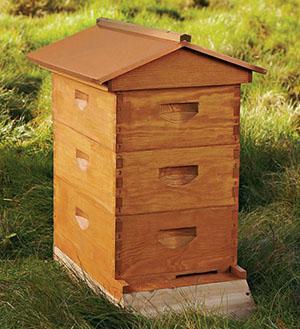 Bricolage ruche en bois