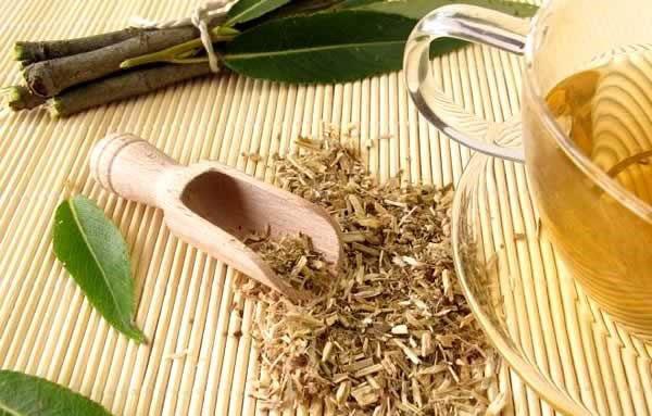 écorce de saule pour la préparation d'infusions et de décoctions