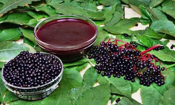 confiture de sureau noir