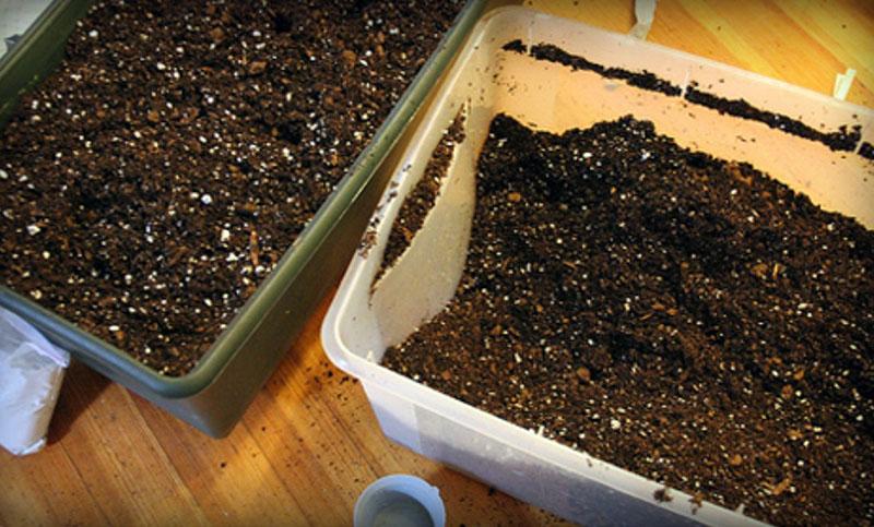mejora de la composición del suelo con agroperlita