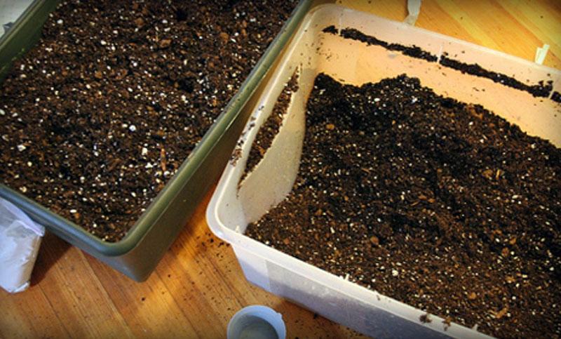 amélioration de la composition du sol avec l'agroperlite