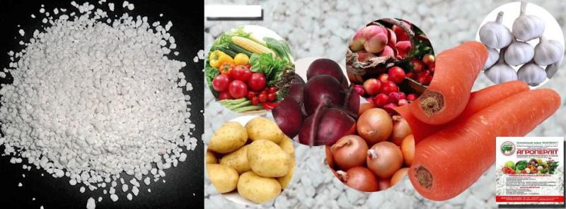stockage des récoltes à l'aide d'agroperlite