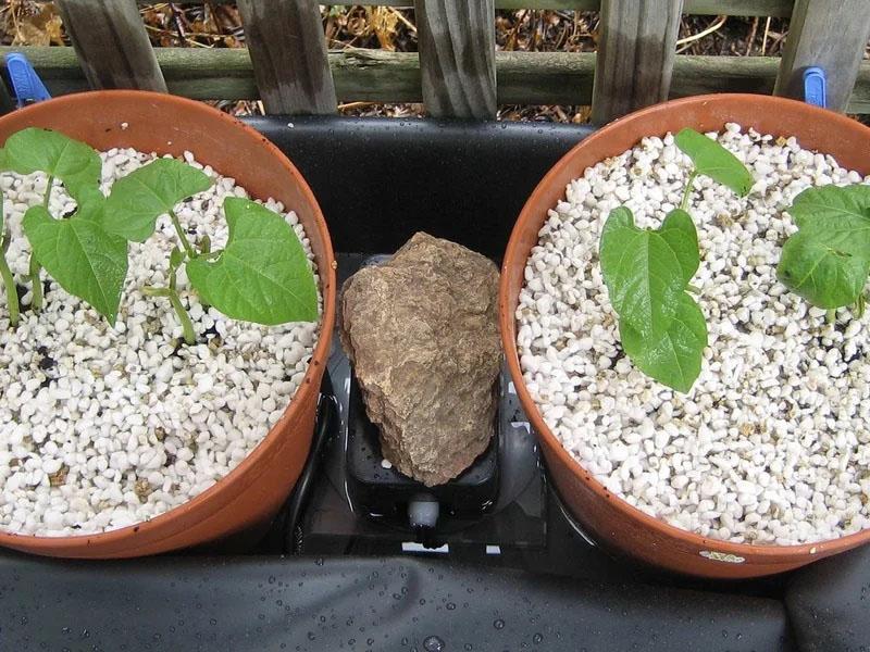 application d'agroperlite