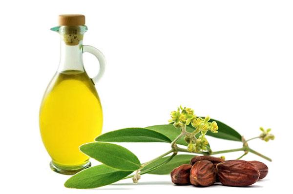 propriétés uniques de l'huile de jojoba