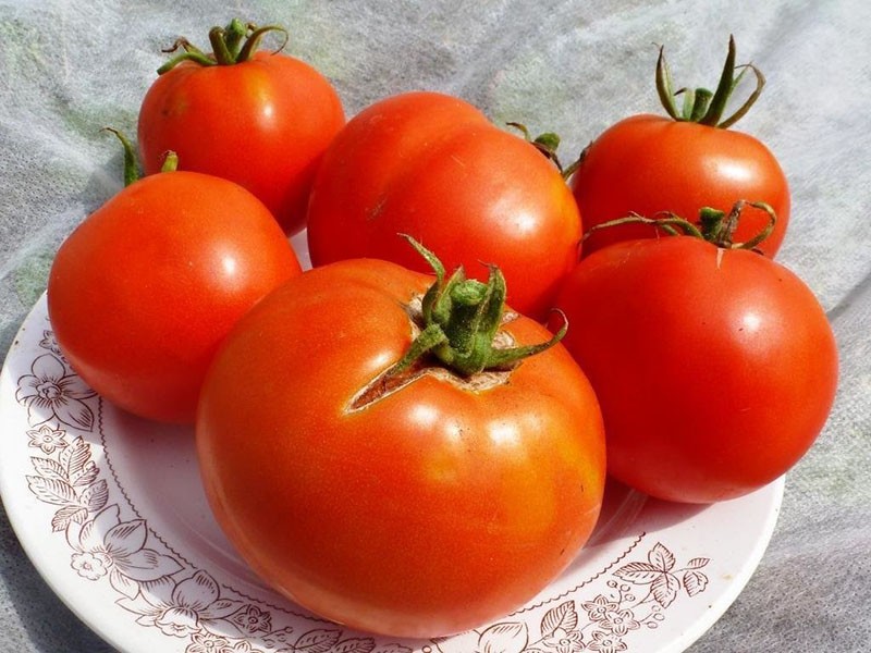 frutos grandes de tomates