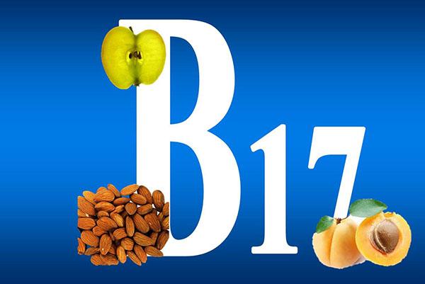 vitamina B17 en huesos de albaricoque