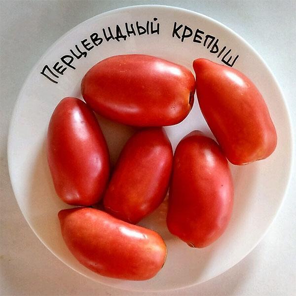 tomate en forma de pimiento robusto