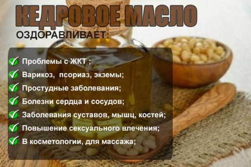 propiedades útiles del aceite de nuez de cedro
